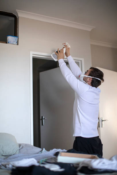 Professional Mold Removal in La Paloma, TX