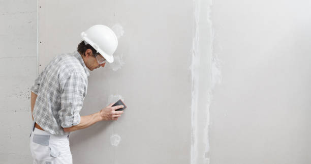 Best Emergency Mold Remediation  in La Paloma, TX