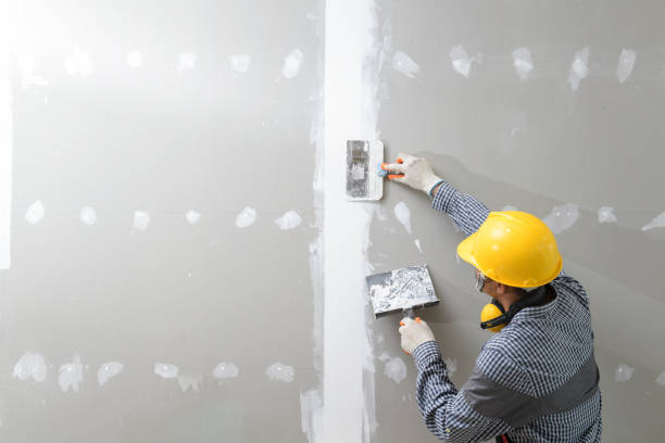 Best Mold Prevention Services  in La Paloma, TX