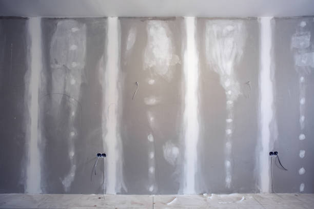 Best HVAC Mold Inspection and Cleaning  in La Paloma, TX